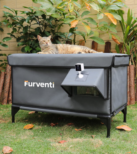 The Furventi Team