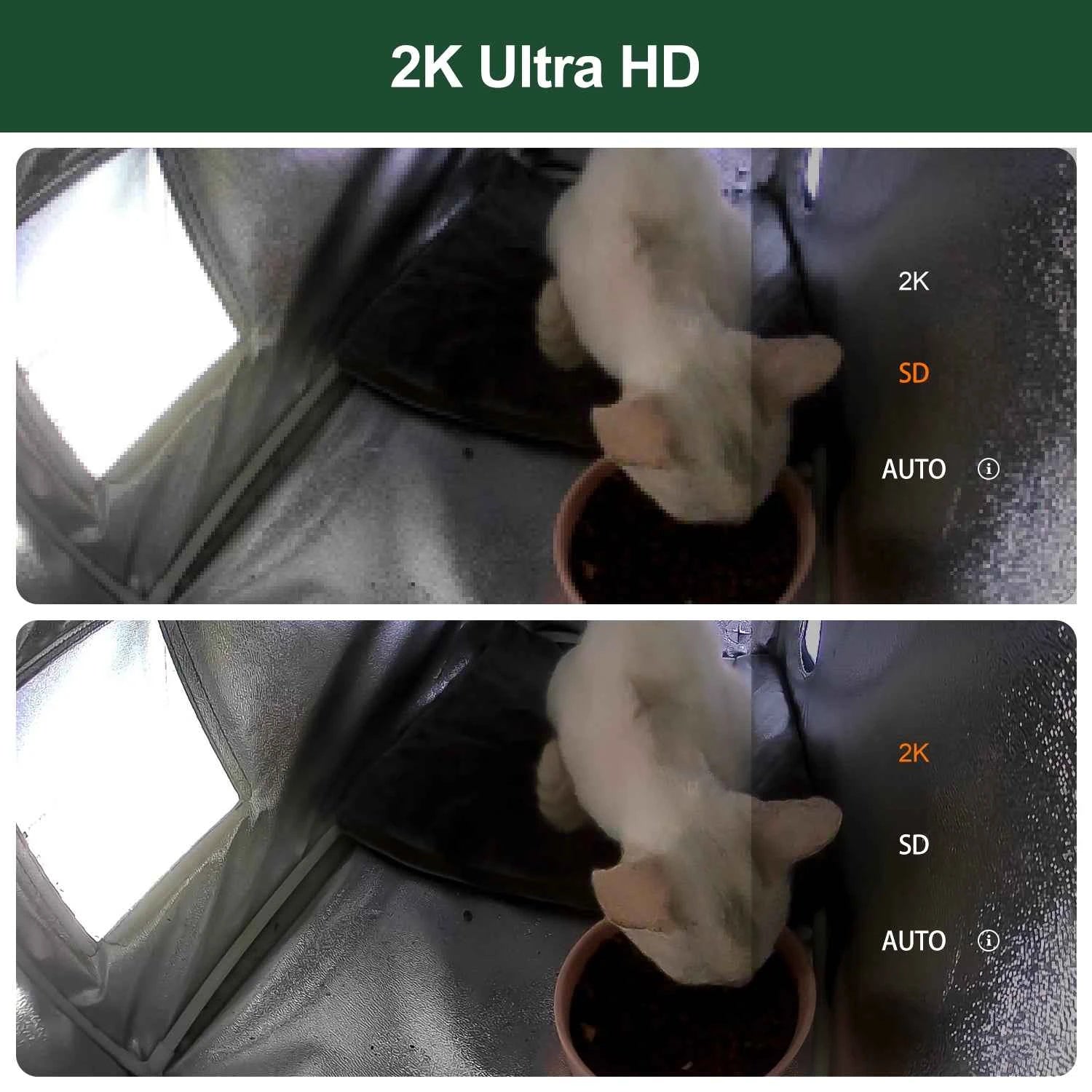 Furventi X21 Cat House Camera