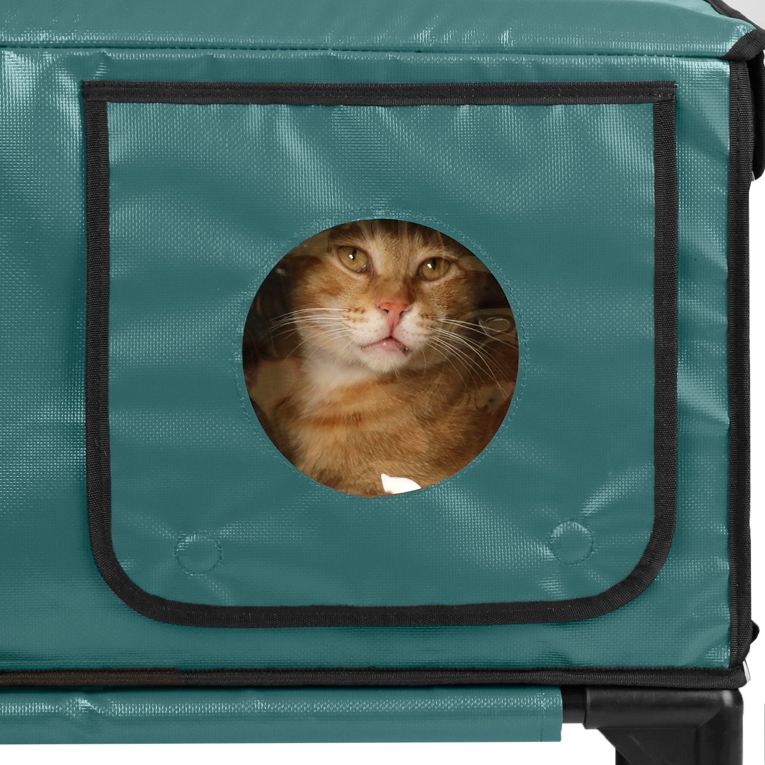 Furventi High Legs Outdoor Cat House Dark Green Product Features 2 & Outdoor Stray Heated Cat House