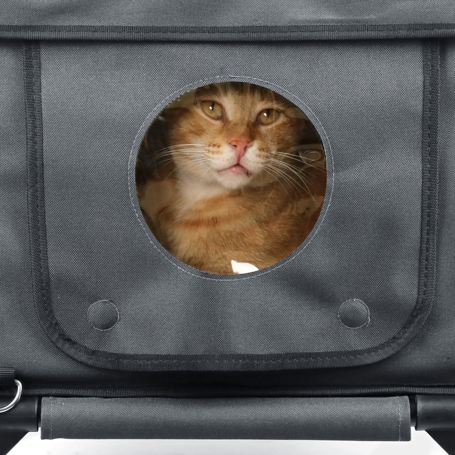 Furventi High Legs outdoor Cat House Dark Gray Product Features 5 & Outdoor Stray Heated Cat House